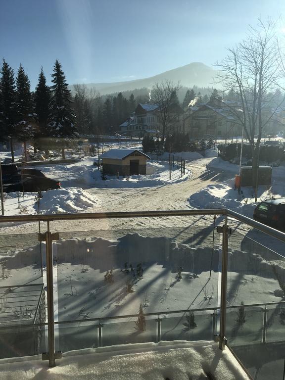Apartmán Sniezny *
